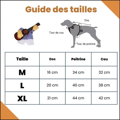 costume-halloween-chien-guide-des-tailles
