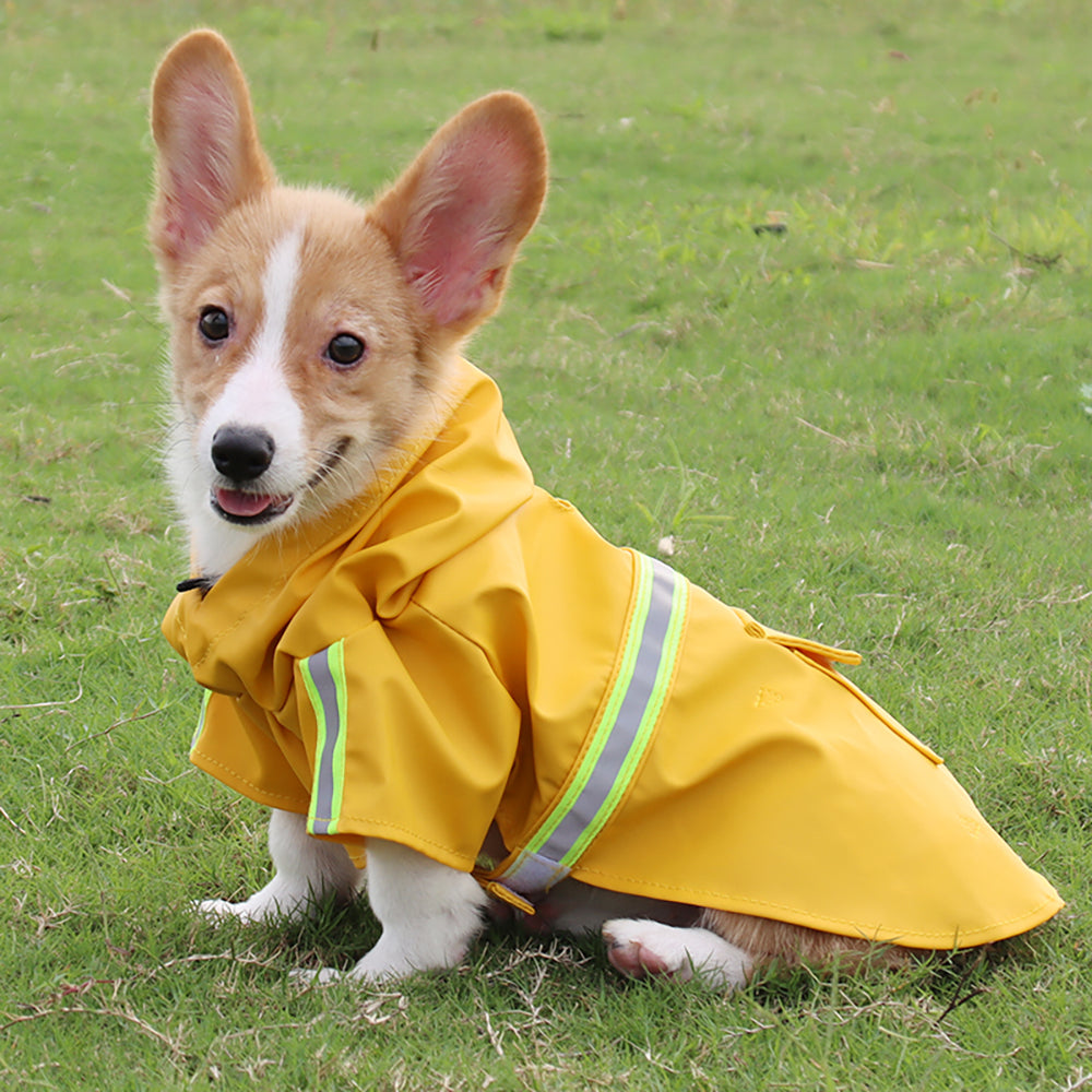 Imperméable pour chien | RainPaw™