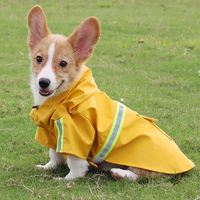 Imperméable pour chien | RainPaw™