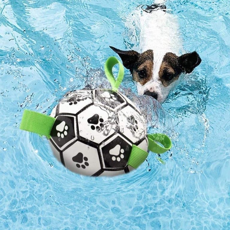 Ballon pour chien | SoccerBall™