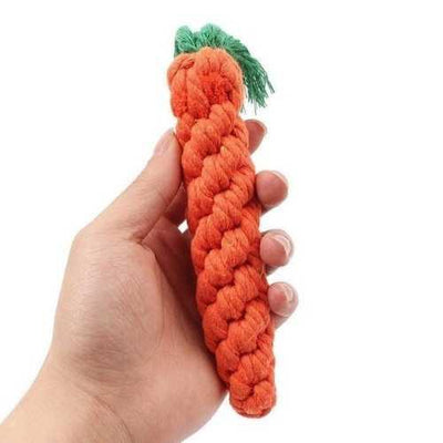 carotte-jouet-chien-main