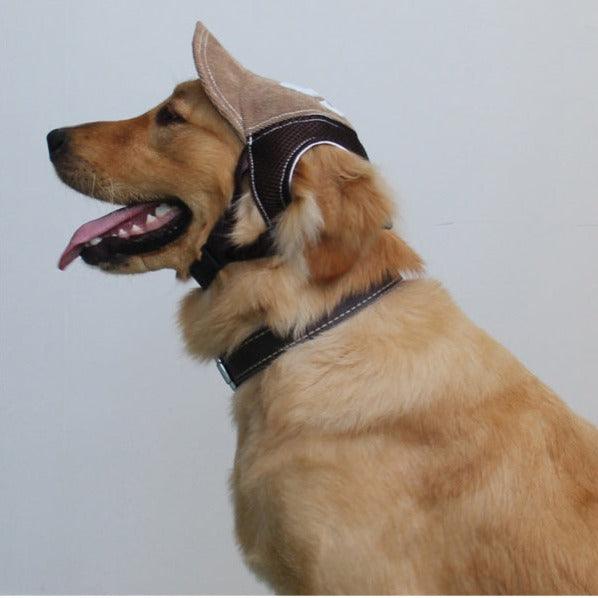    casquette-pour-chiens-image-modele-profil