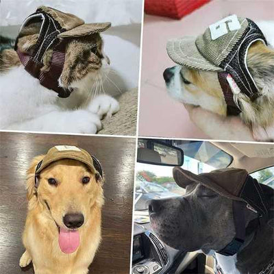 casquette-pour-chiens-variete