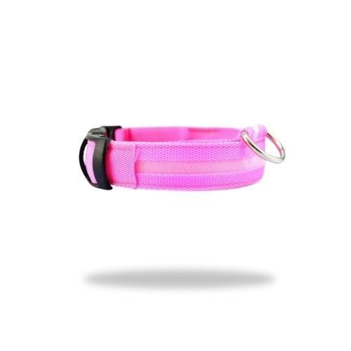 collier-lumineux-chien-rose
