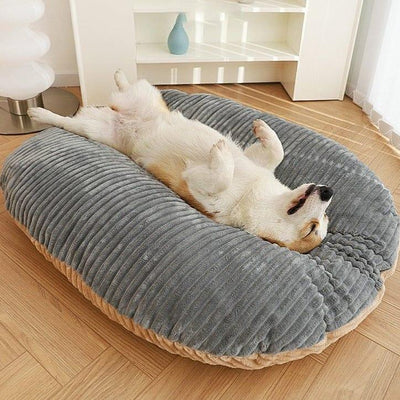 coussin-anti-stress-chien-dos
