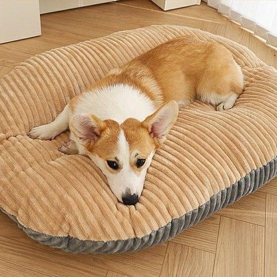 coussin-anti-stress-chien-relax
