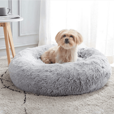   coussin-apaisant-chien-rond
