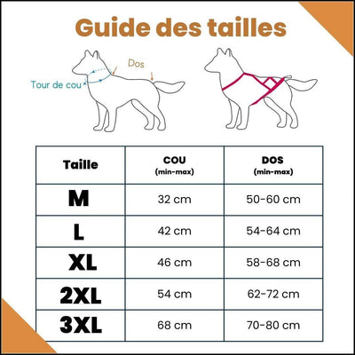 harnais-canicross-guide-des-tailles