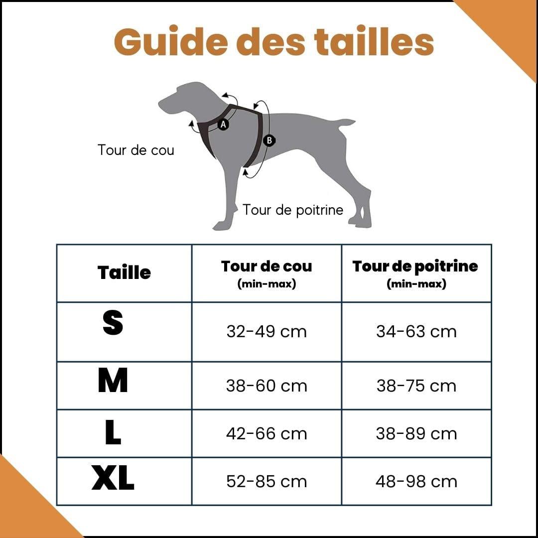 harnais-chien-anti-traction-guide-des-tailles