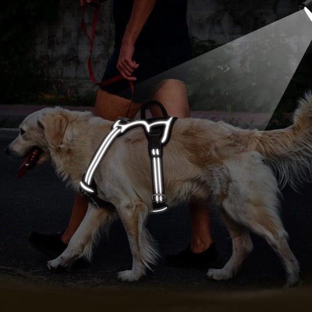 HARNAIS CHIEN ANTI TRACTION｜HarnessDog – Le chien choyer