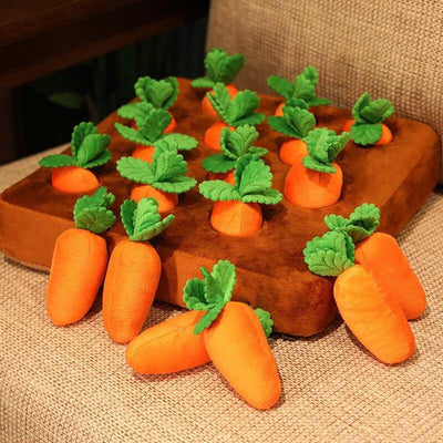   jouet-anti-stress-chien-carottes