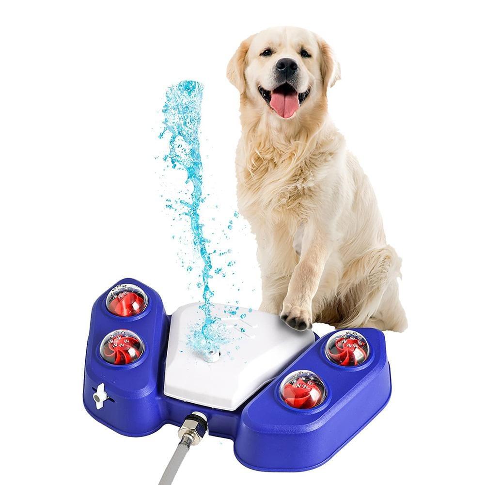 jouet-d-eau-pour-chien-demo