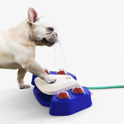    jouet-d-eau-pour-chien-pedale